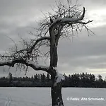 Alte Schmiede Appartamento *