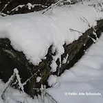 Alte Schmiede Lejlighed Calmbach