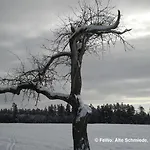 Alte Schmiede *