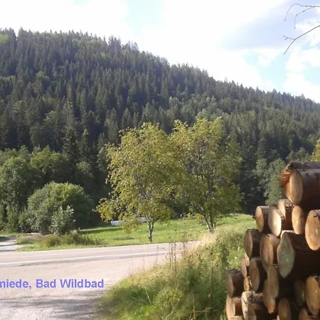 Alte Schmiede شقة *