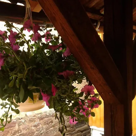 Alte Schmiede * Calmbach