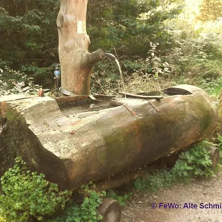 شقة Alte Schmiede Calmbach