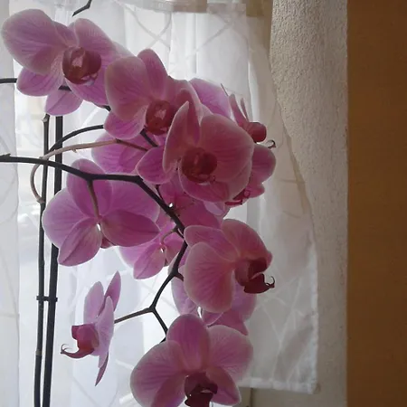 شقة Alte Schmiede