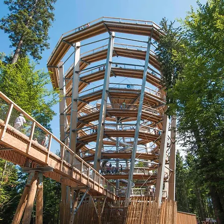 Alte Schmiede Calmbach