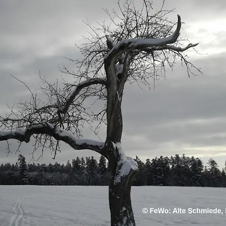 Alte Schmiede *