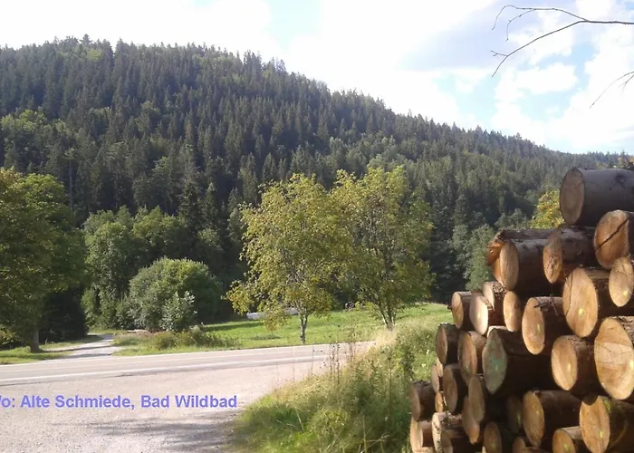 Alte Schmiede Lägenhet *