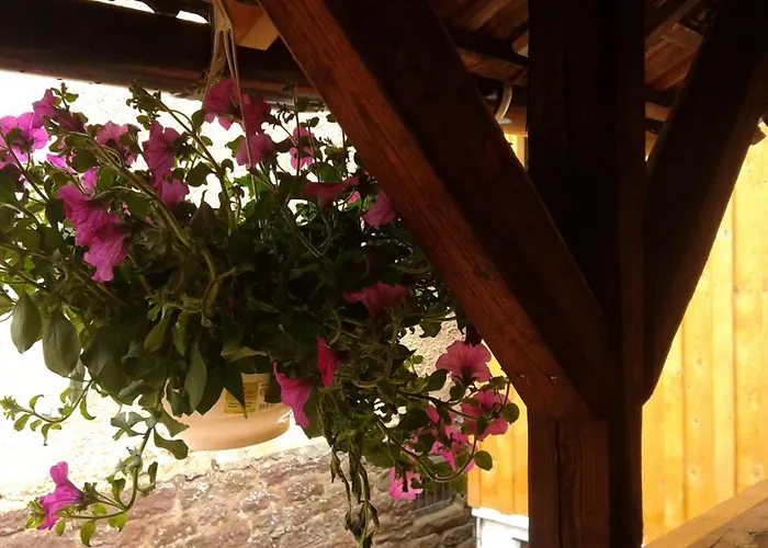 Alte Schmiede * Calmbach