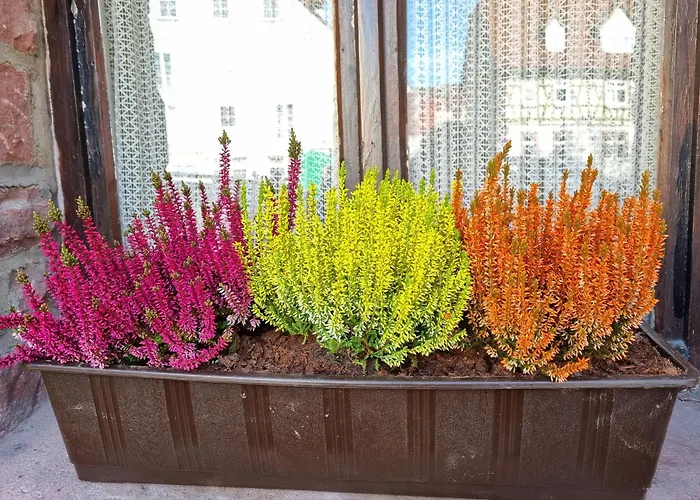 Alte Schmiede Calmbach